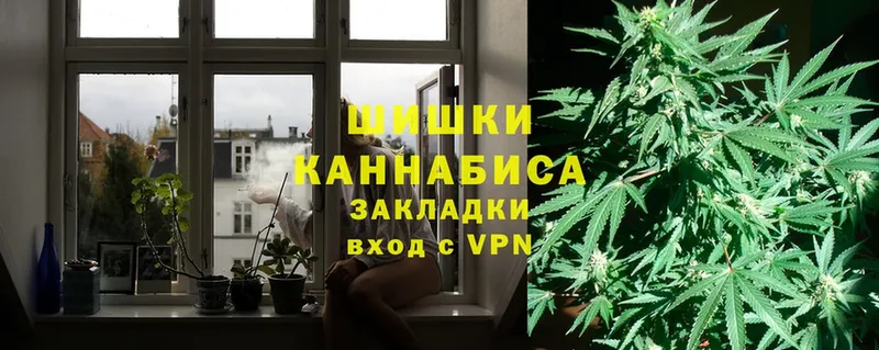 Бошки марихуана Ganja  продажа наркотиков  Городец 